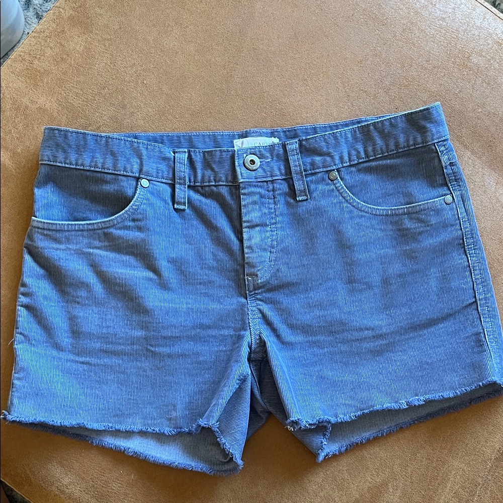Carve Designs Oahu Blue Corduroy Shorts